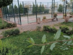 Altundal sitesi Bahçelievler mahallesi satılık 210 m2 daire 80 m2 kış bahçesi fiyat 5.500.000 #siverek